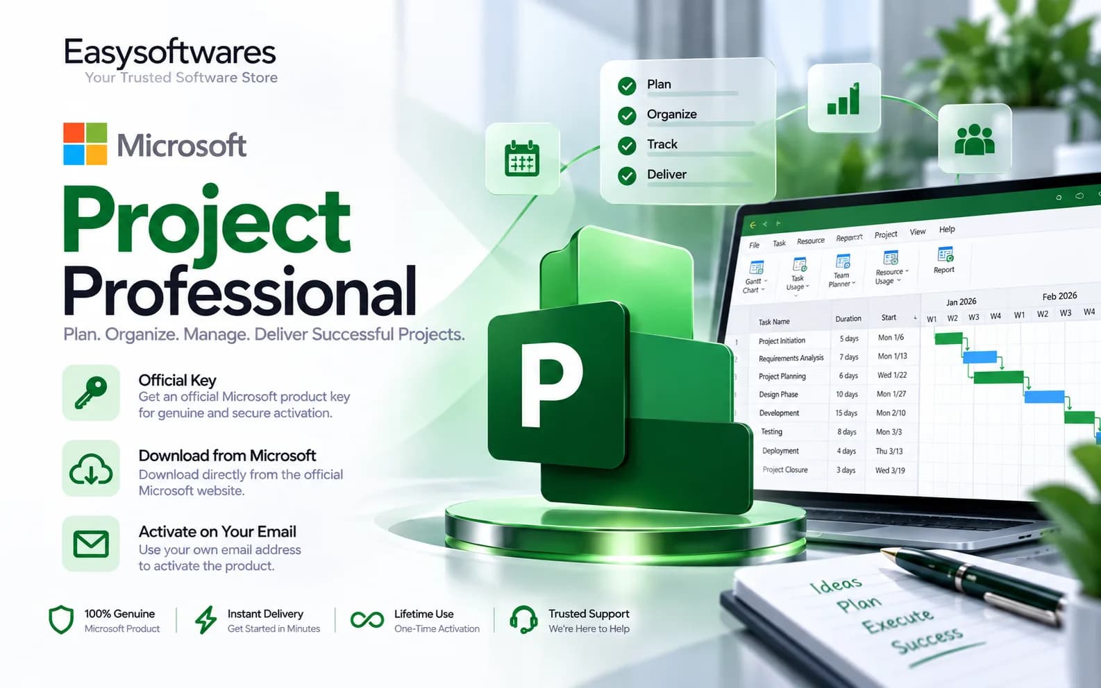 Microsoft Project Professional